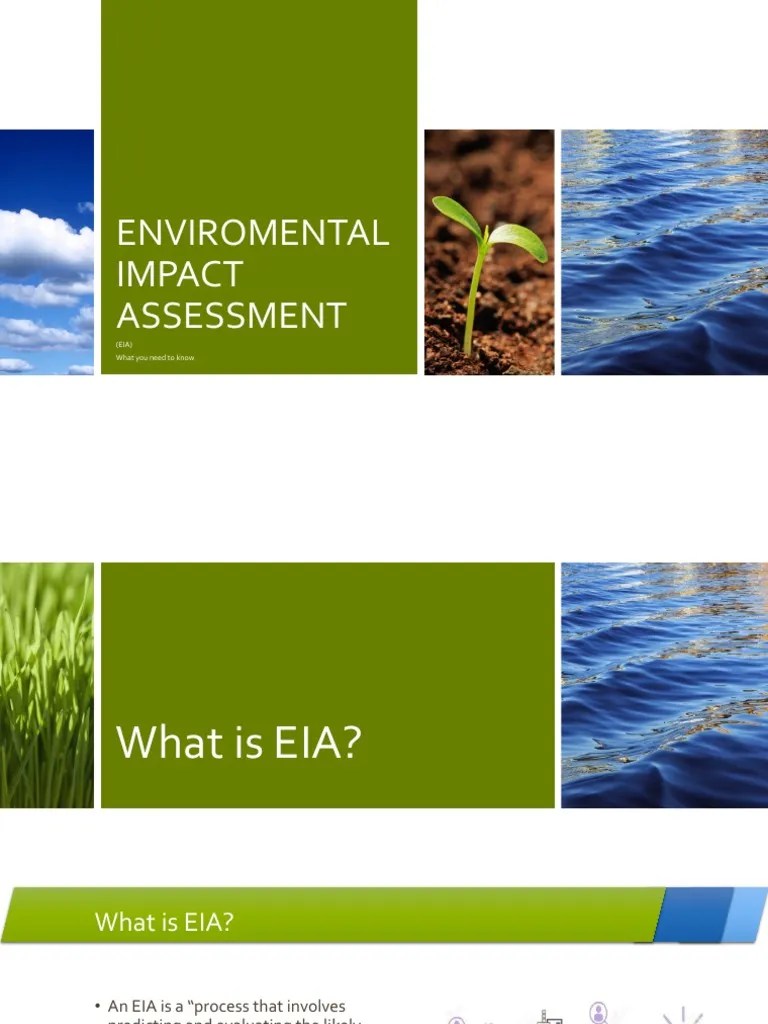 02 Enviromental Impact Assessment PDF Environmental Impact