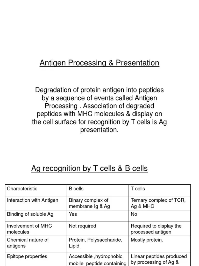 Antigen Processing and Presentation PDF