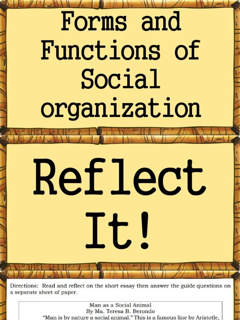 6 Forms and Functions of Social Organization PDF Philosophical