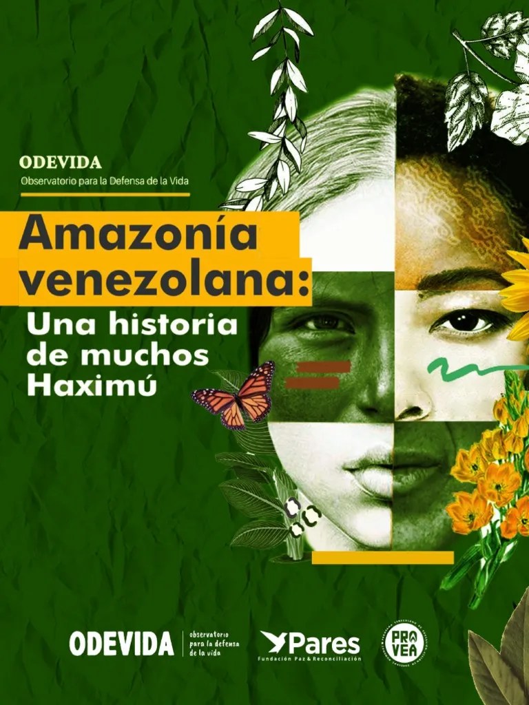 Amazonía Venezolana PDF Venezuela Brasil