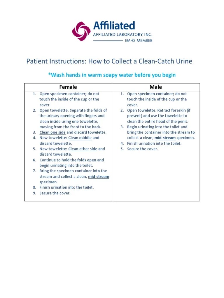 Patient Instructions Clean Catch Urine PDF