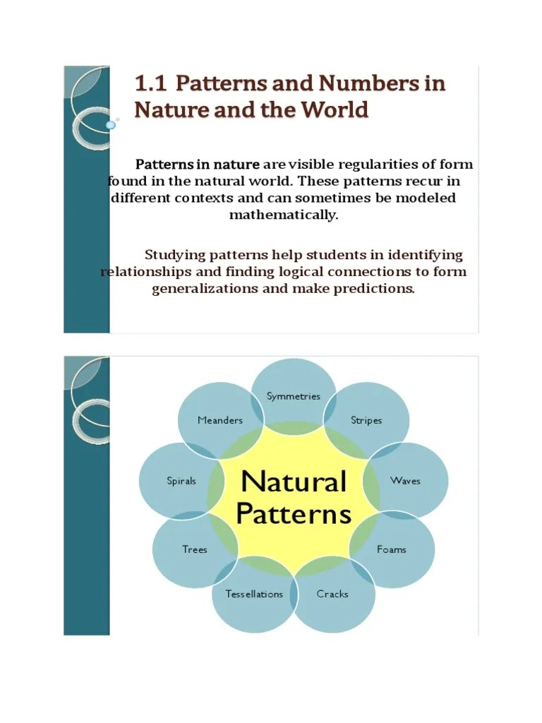 1.1 Patterns and Numbers in Nature and The World PDF Pattern Waves