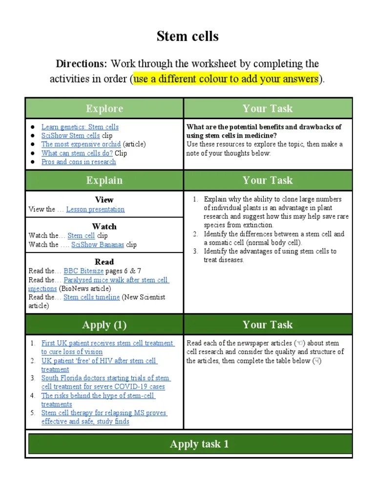Stem Cells Worksheet of 24601 PDF Cell Potency Stem Cell