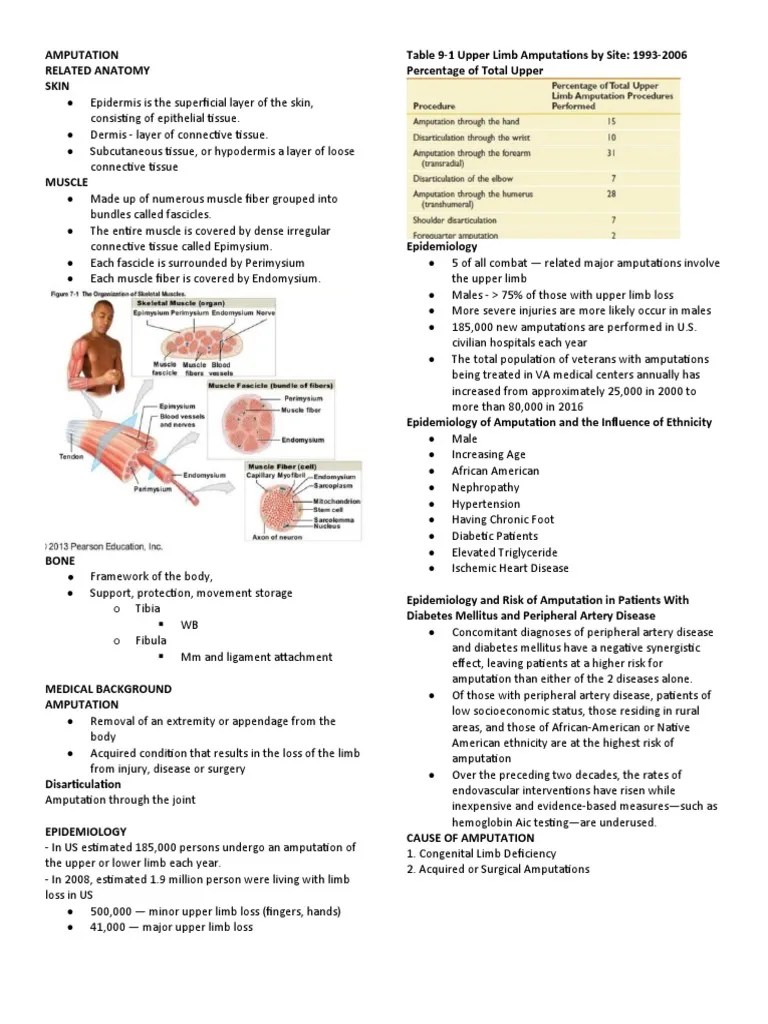 Amputation Types and Causes PDF Amputation Prosthesis
