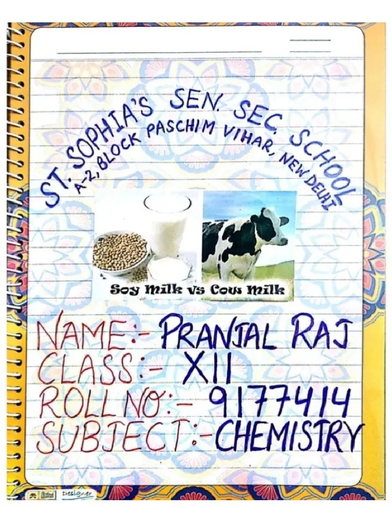Soy Milk Vs Cow Milk PDF