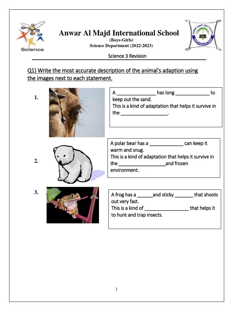 GRADE 3Adaptation Worksheet PDF