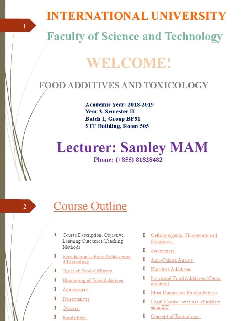 4 Type of Food Additive PDF