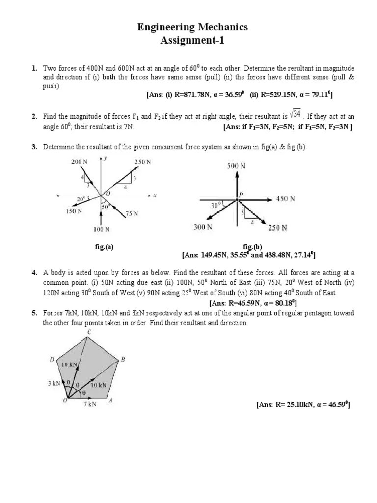 Assignment 1 Force and Friction PDF Friction Ladder