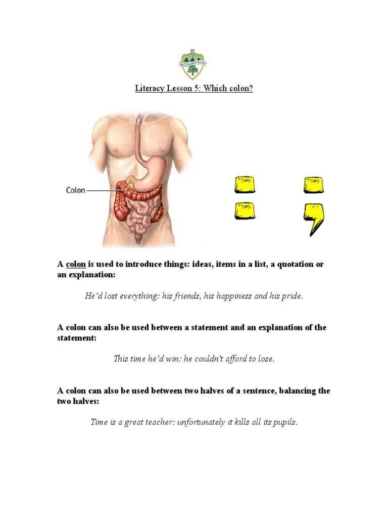 Colon & Semi Colons Worksheet PDF