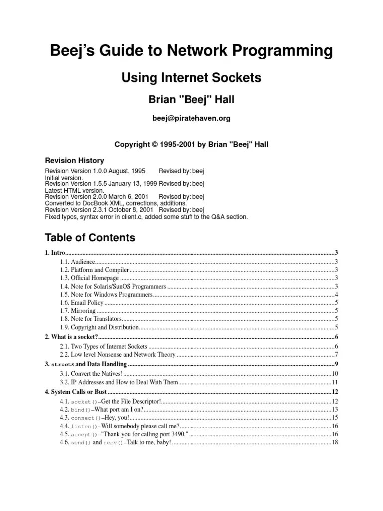 Beej Socket Programming PDF Network Socket Transmission Control