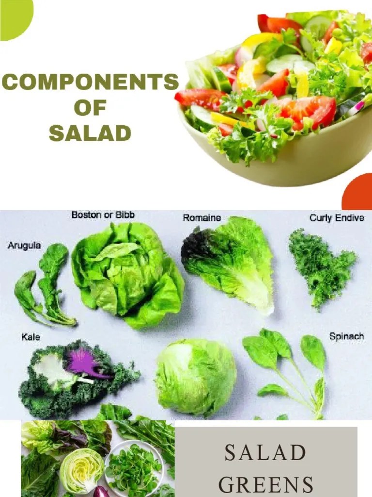 Components of Salad PDF