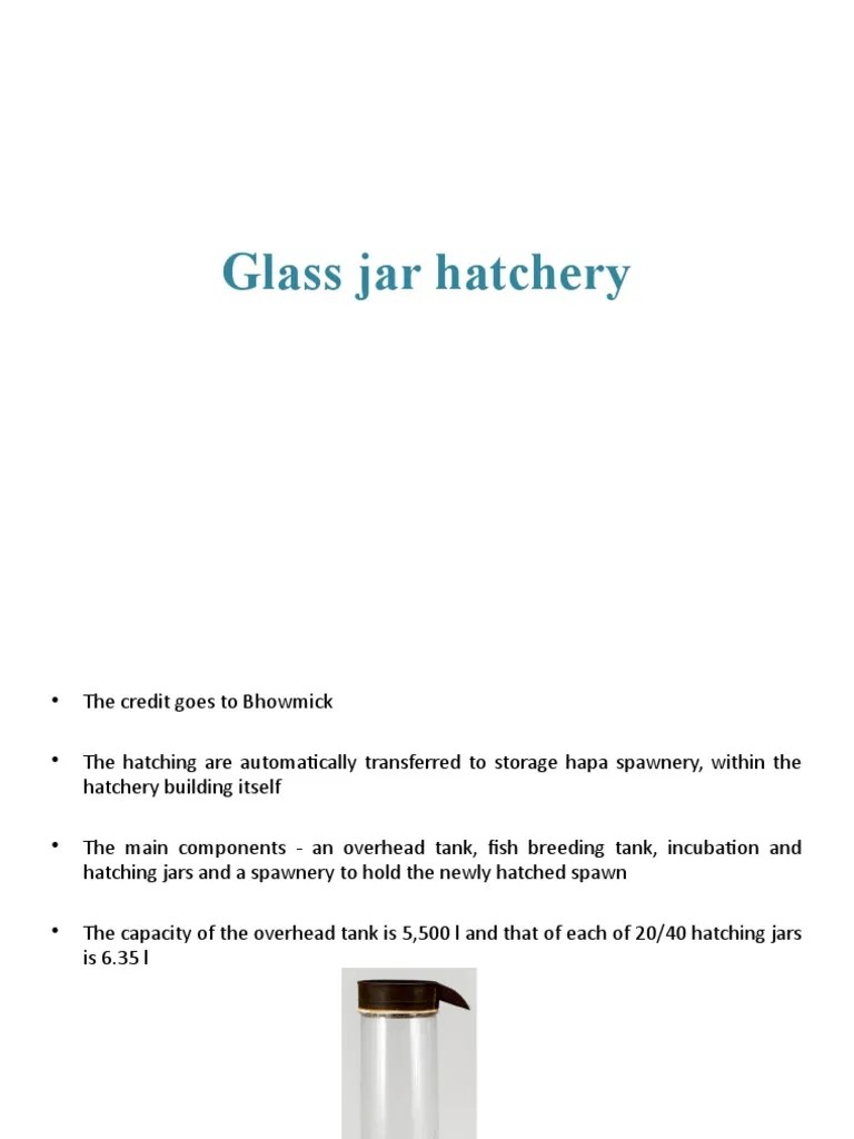 Glass jar hatchery for fish egg incubation PDF