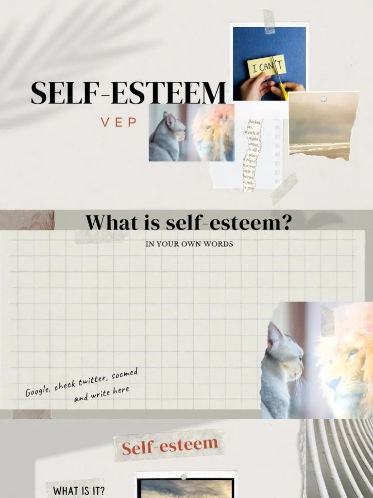 Self Esteem PDF Self Esteem Psychology