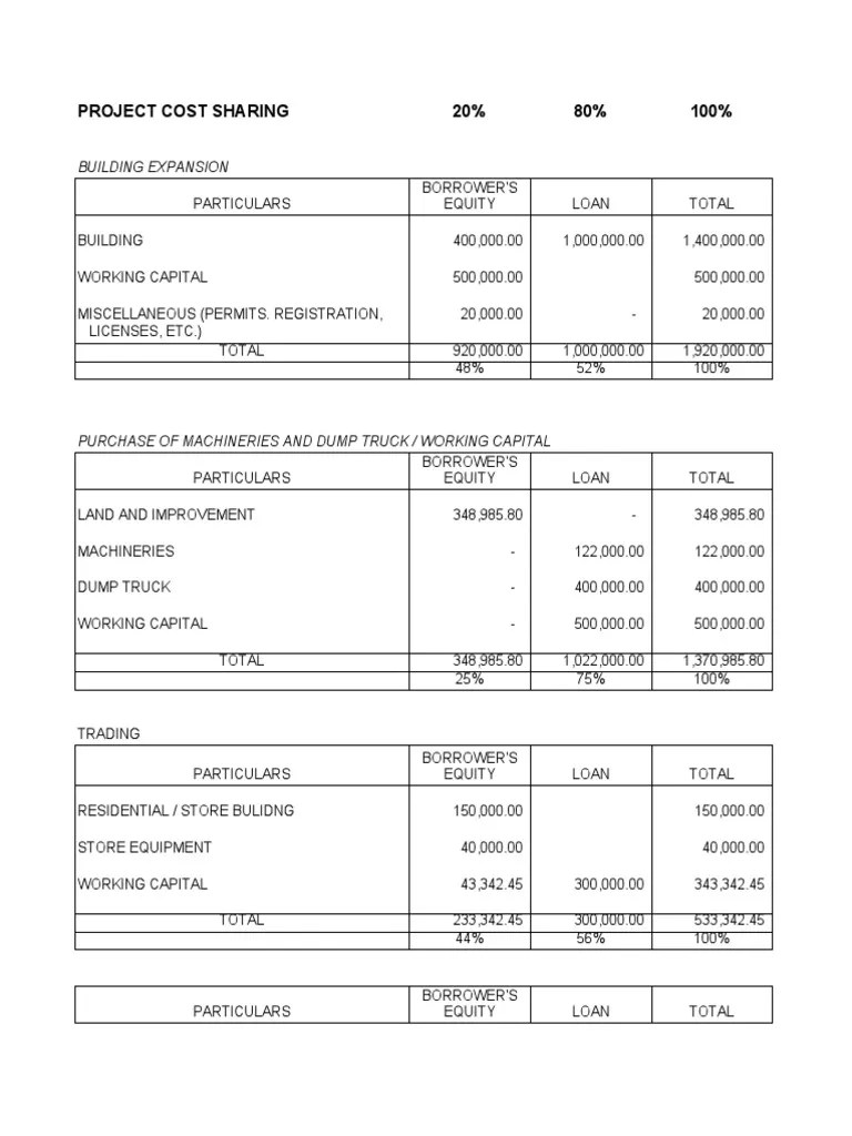 Project Cost Sharing PDF Loans Economies