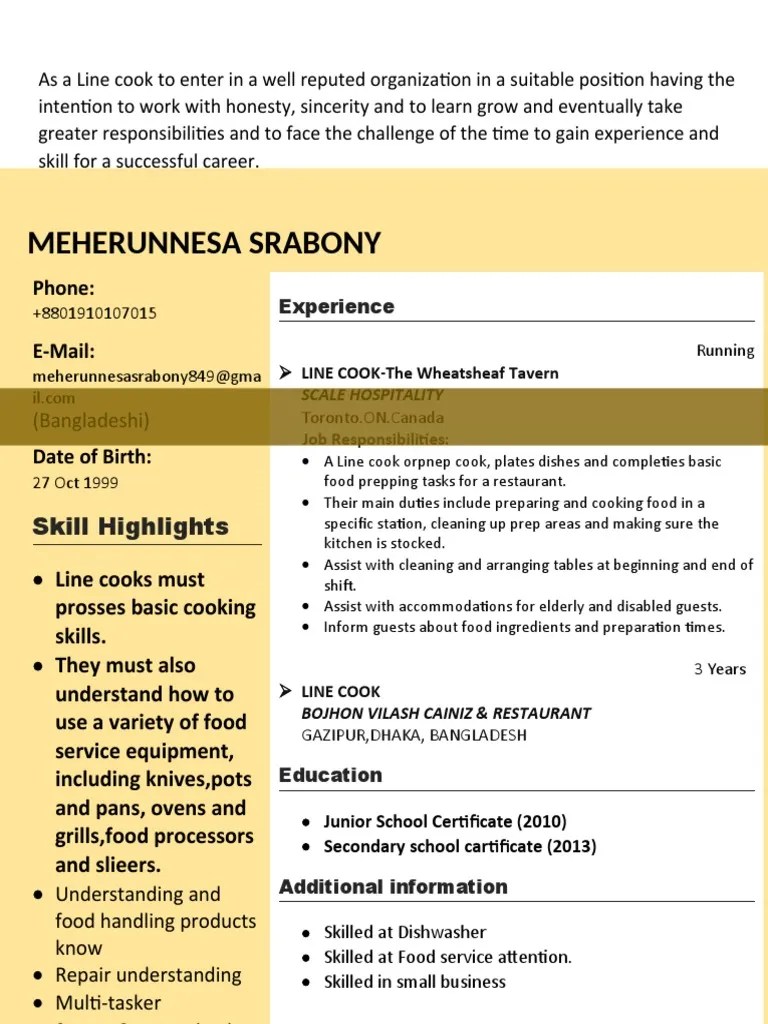 Resume Without Education PDF