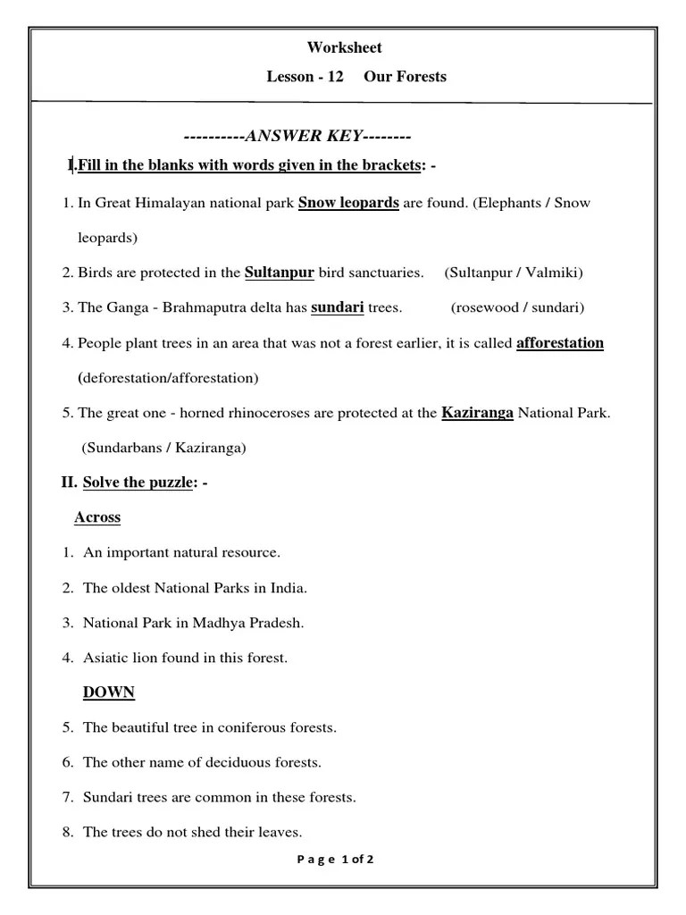 ANSWER KEY Worksheet Lesson 12 Our Forests PDF