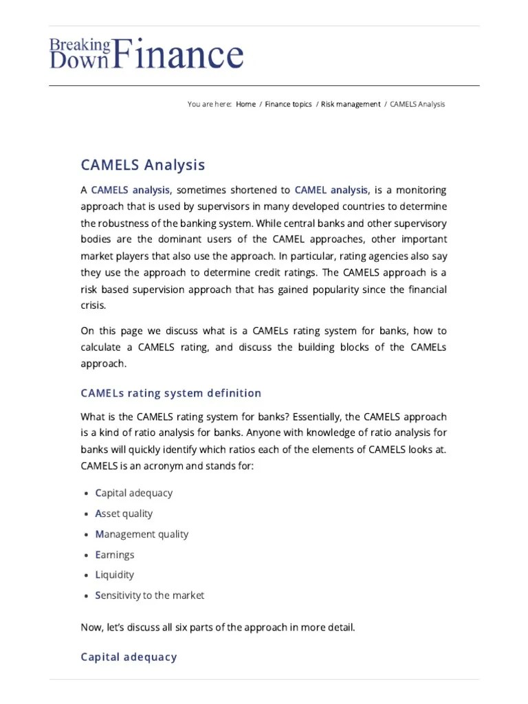 CAMELS Analysis Breaking Down Finance PDF Market Liquidity