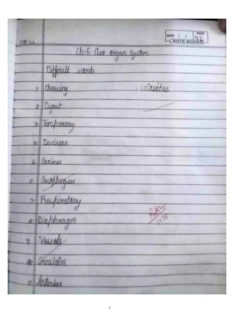 Grade 4 CH 6 Science | PDF