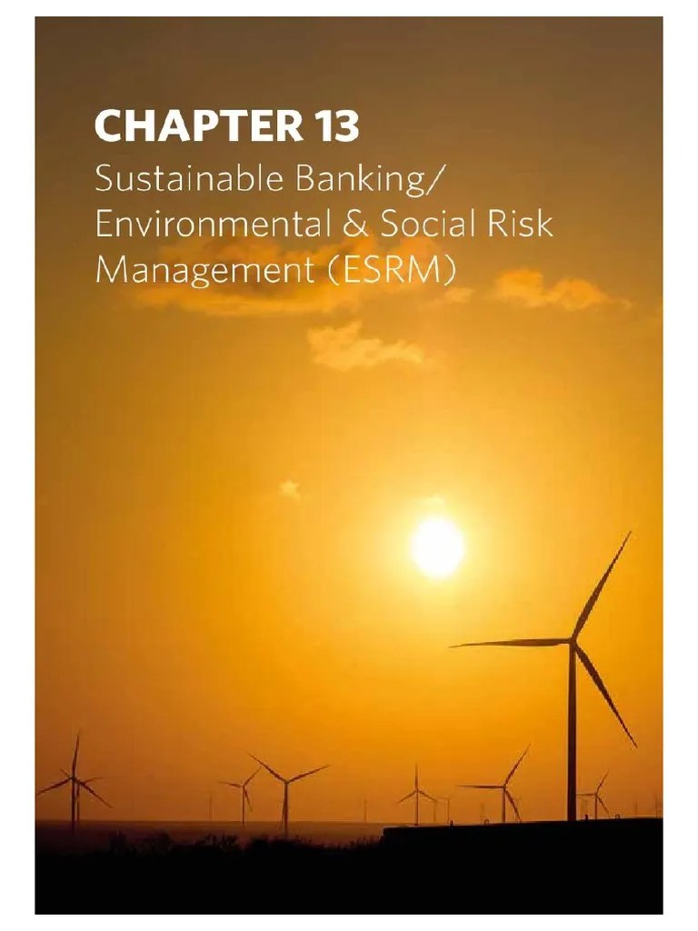 Environmental and Social Risk Management Policy PDF