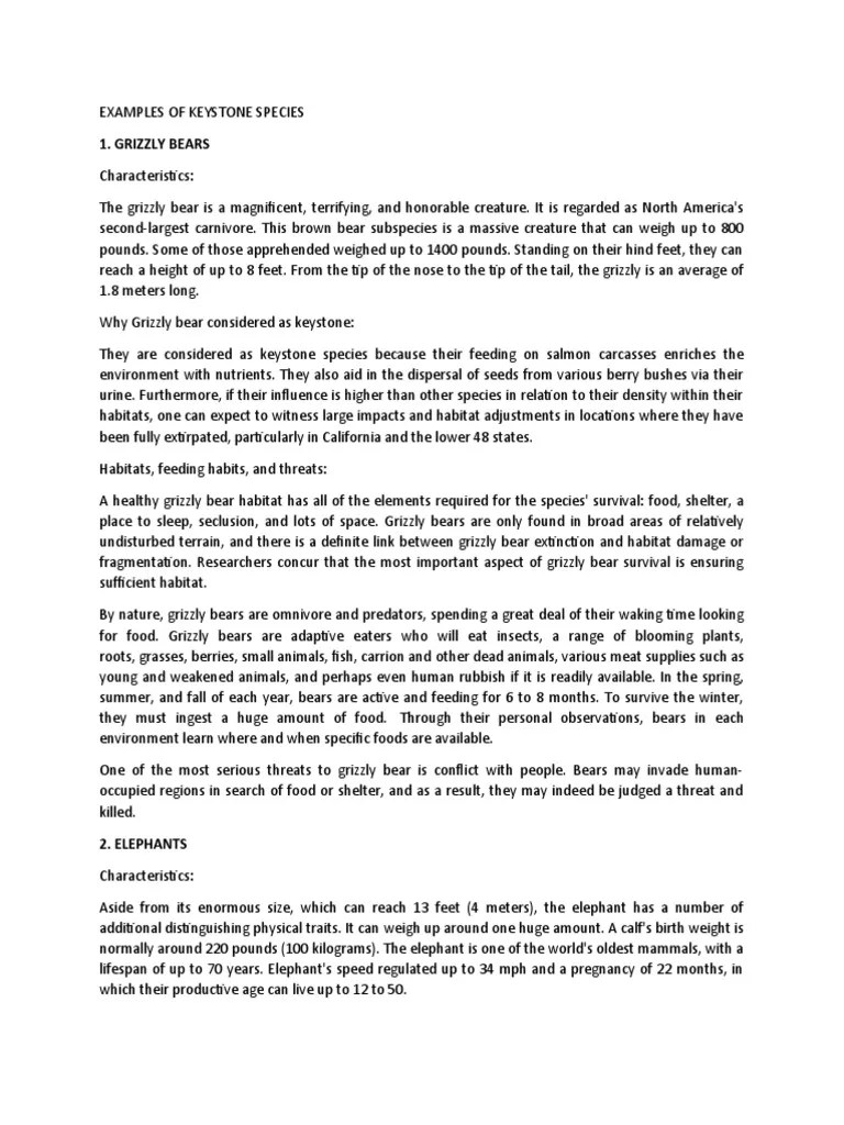 Examples of Keystone Species PDF Grizzly Bear Elephant