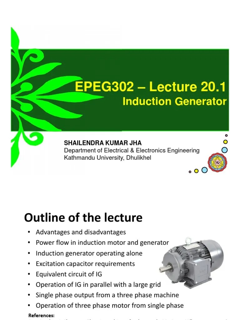 EPEG302Induction Generator PDF Electric Generator Capacitor