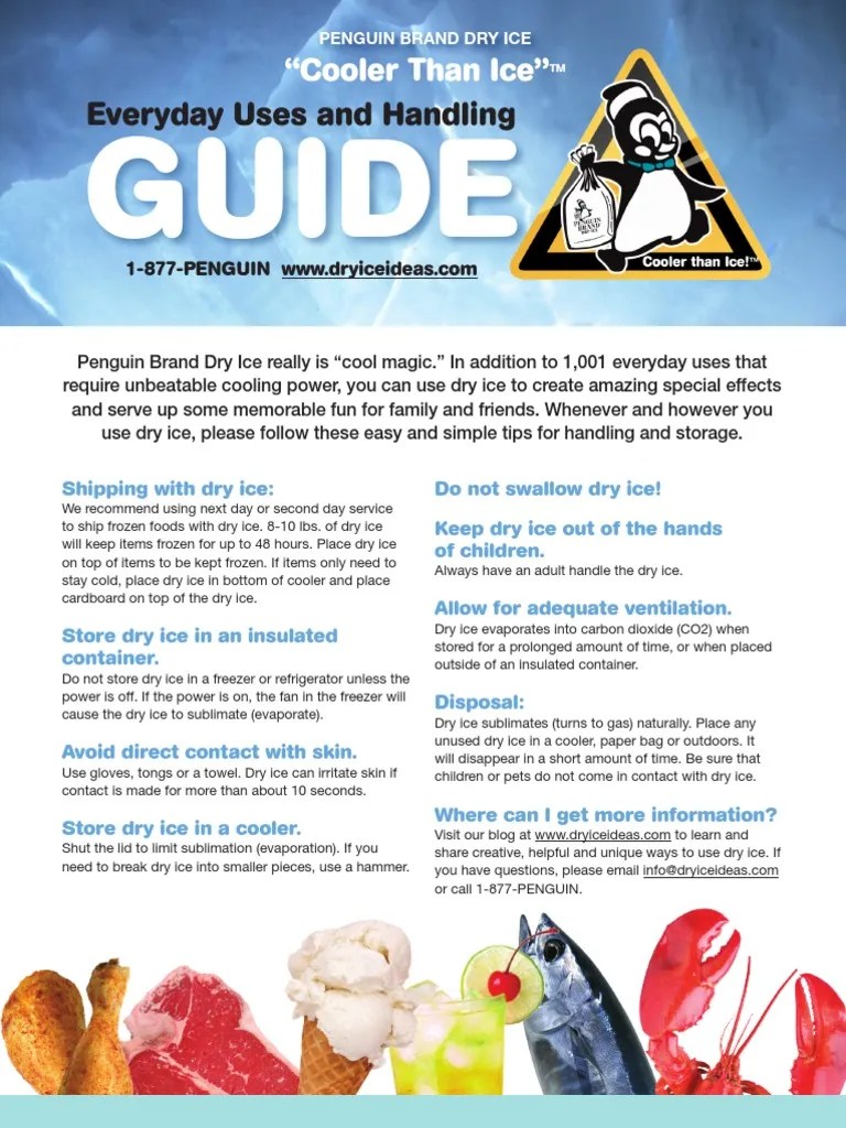 Guide To Safe Handling & Usage Of Dry Ice Carbon Dioxide Refrigerator