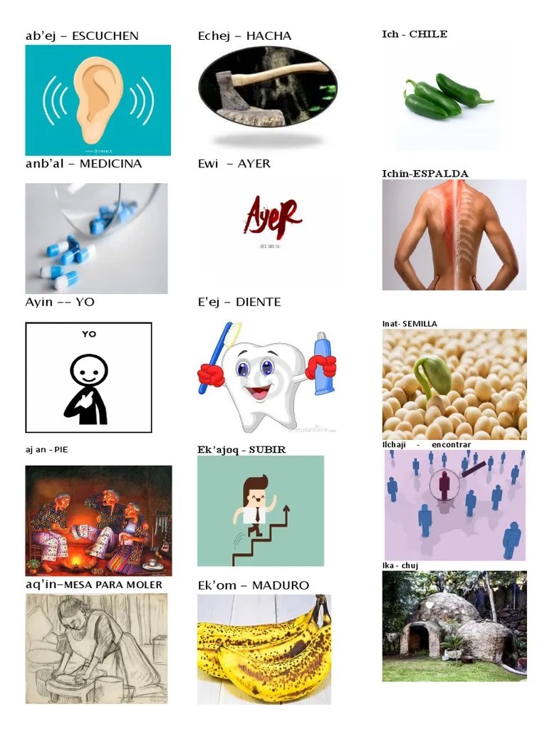 Abecedario en Q'anjob'al y 5 Graficas PDF Agricultura Comida y bebida