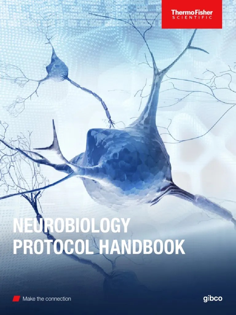 Gibco Neurobiology Protocol Handbook Withcover 2021 PDF Stem Cell