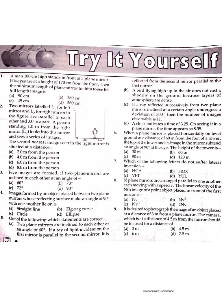Light Assignment Grade 10 PDF