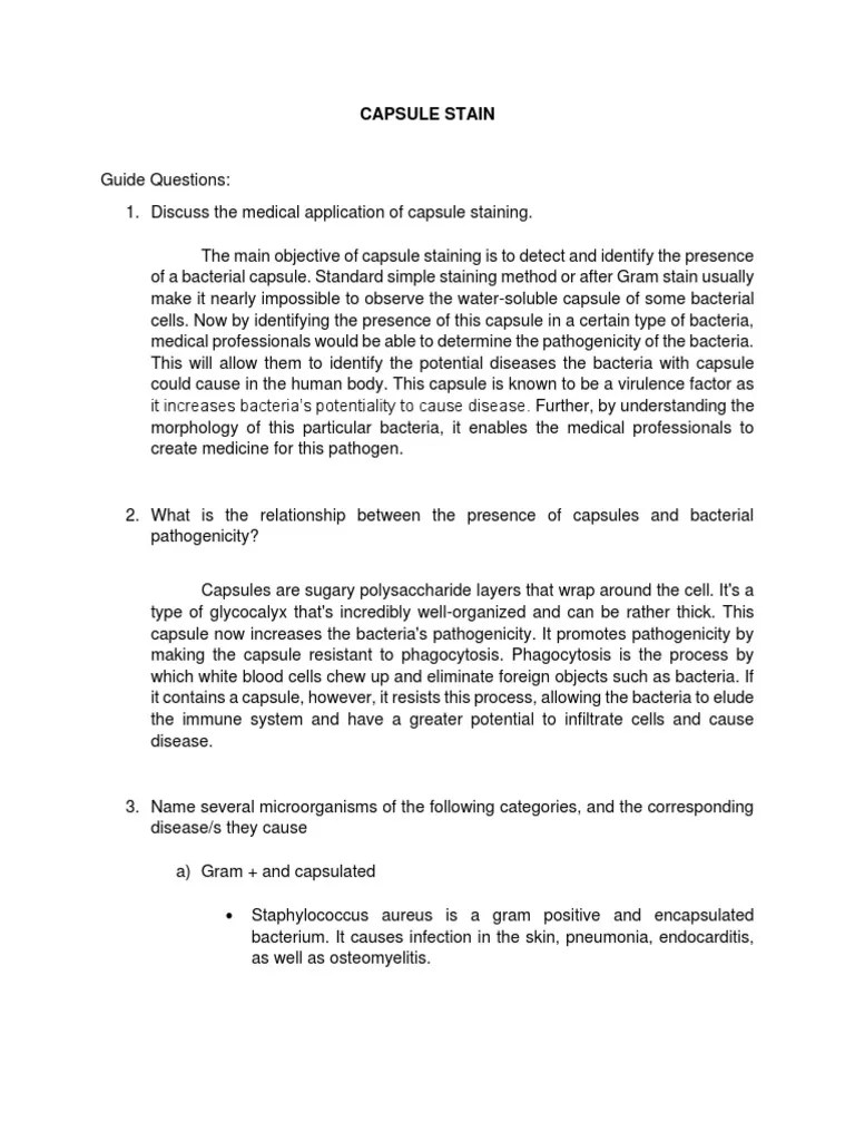 Capsule Stain Final PDF Bacteria Pathogen