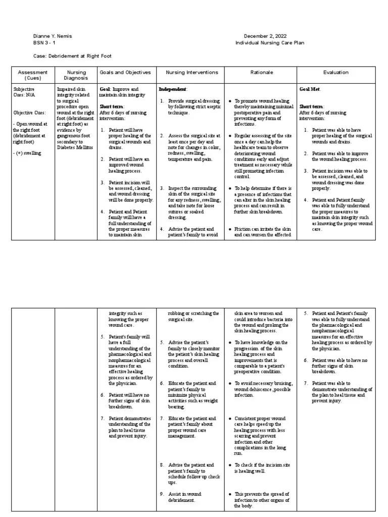 D. Nemis Individual NCP PDF Wound Surgery