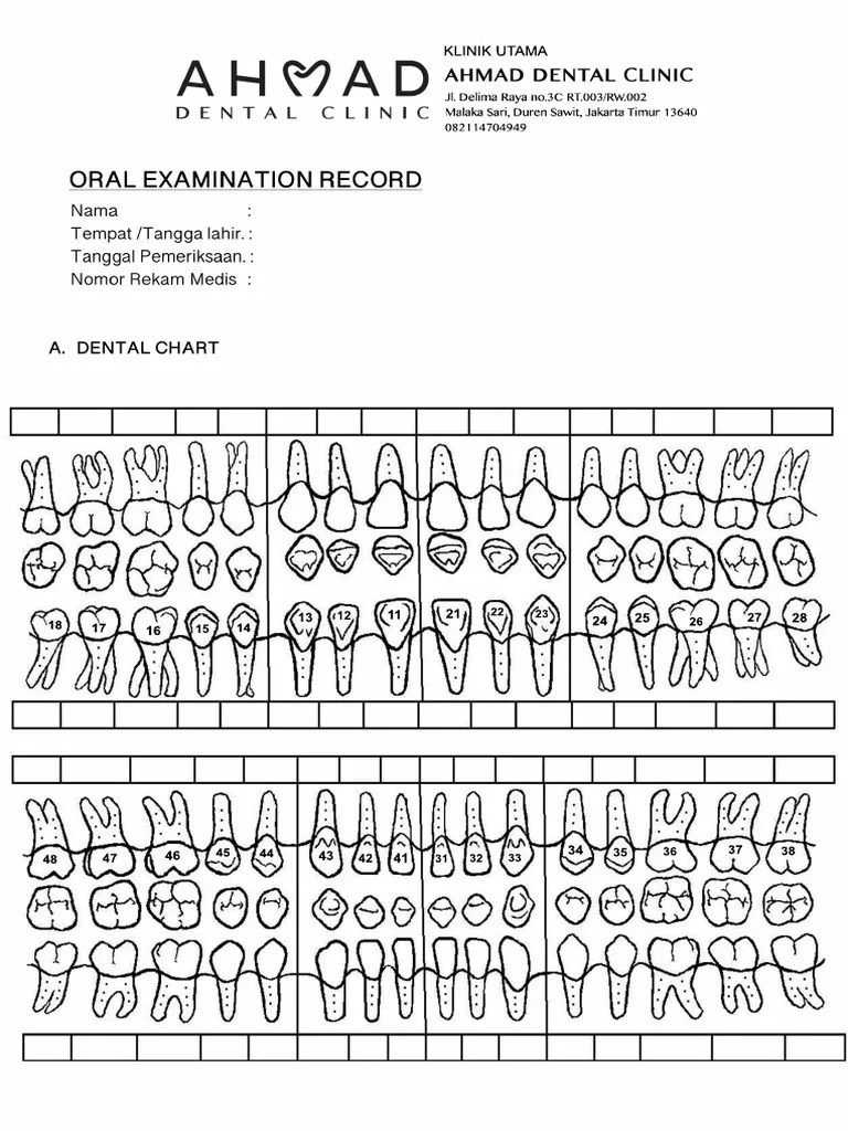 Dental Record PDF