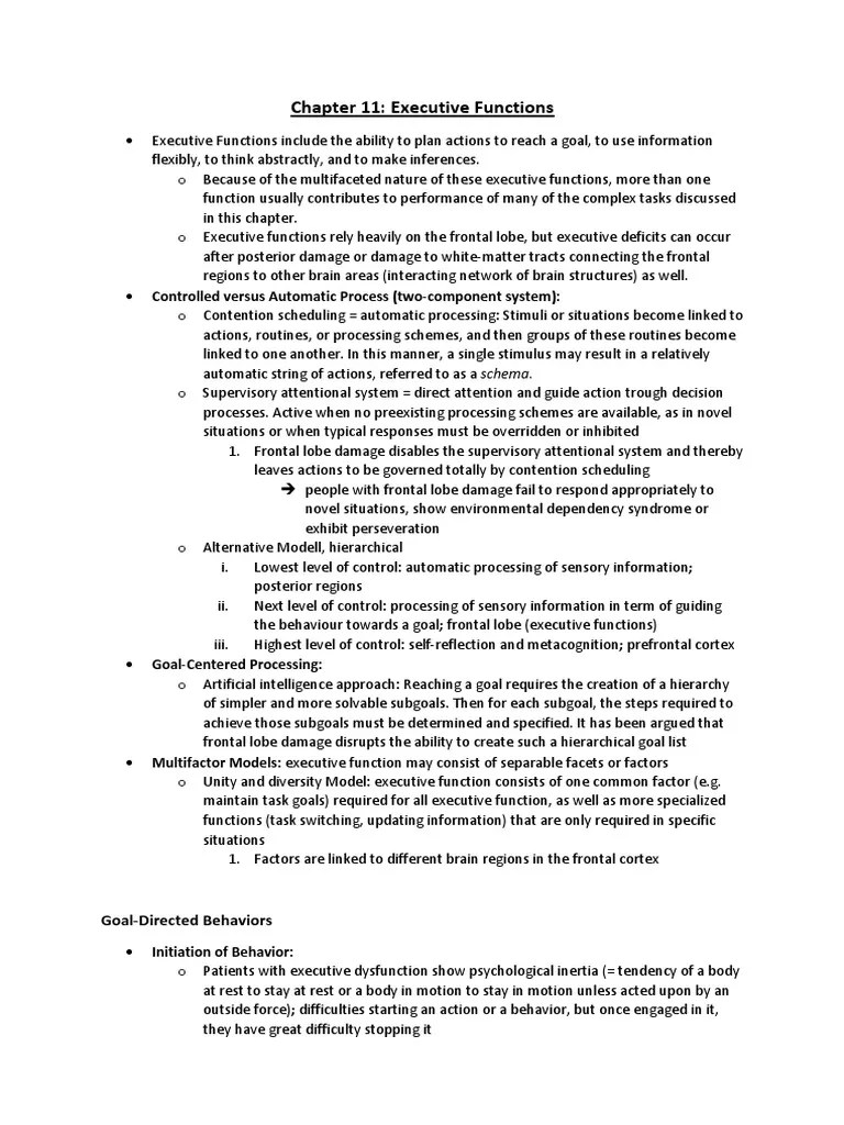Chapter 11 Executive Functions PDF Executive Functions