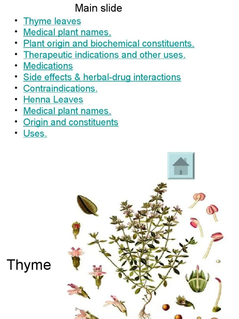 L. Thyme+Henna PDF Gastroesophageal Reflux Disease Thyme