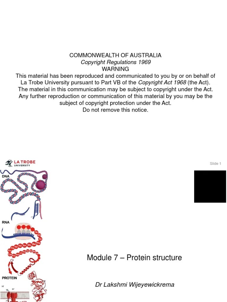 Protein Structure Lecture 3 PDF Protein Domain Proteins