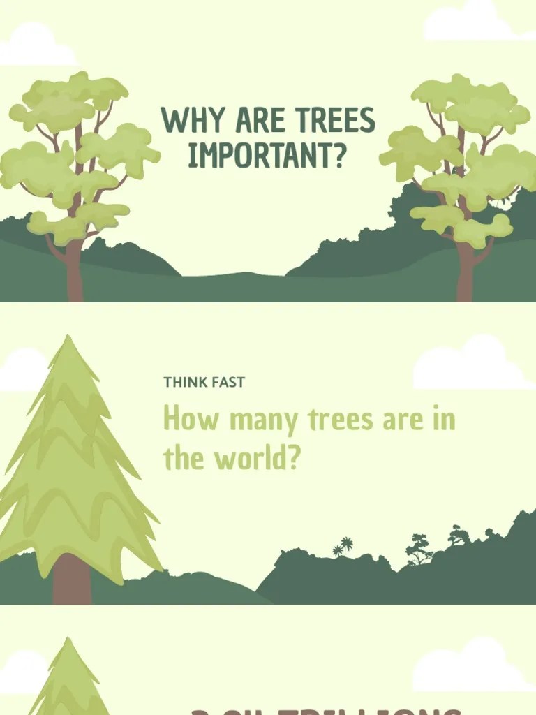 Why Are Trees Important PDF