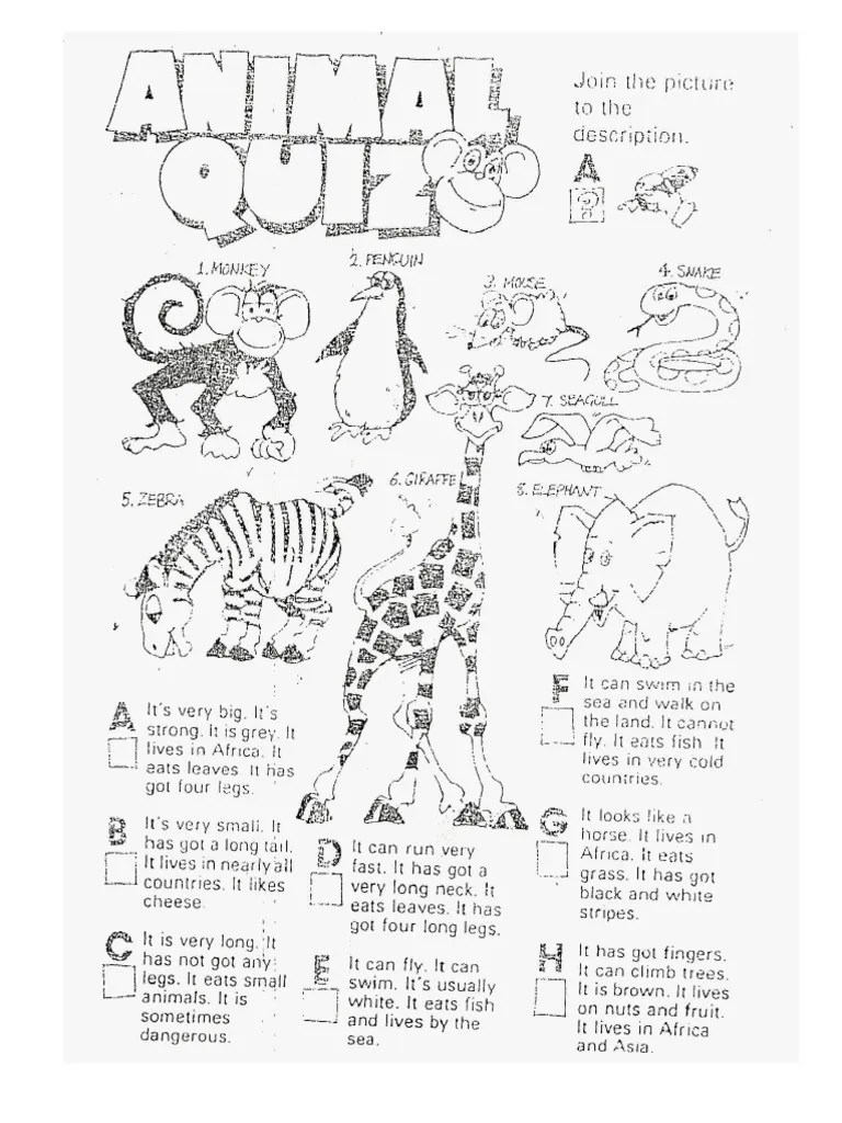 Animal Quiz PDF
