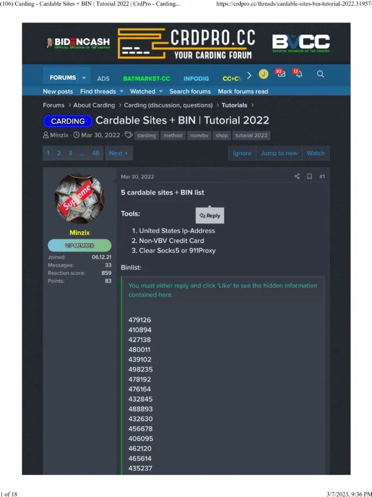 5 Cardable Sites + BIN List PDF