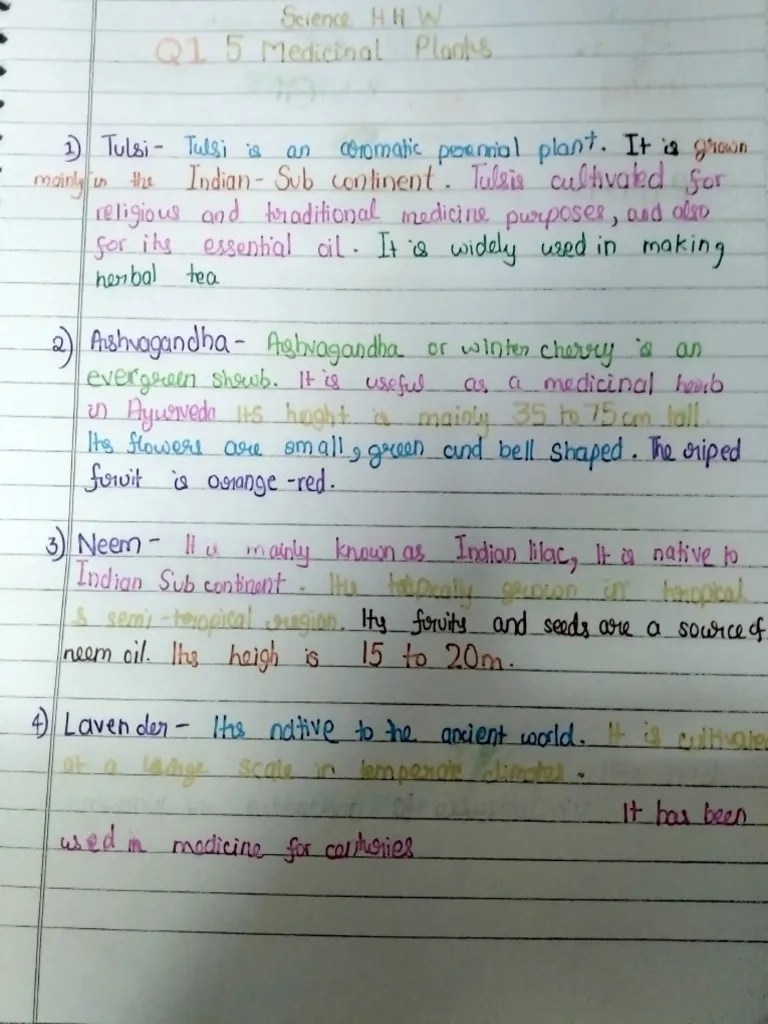 Science Summer Holidays Homework | PDF