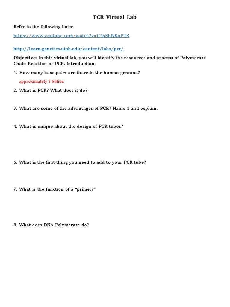 PCR Virtual Lab PDF