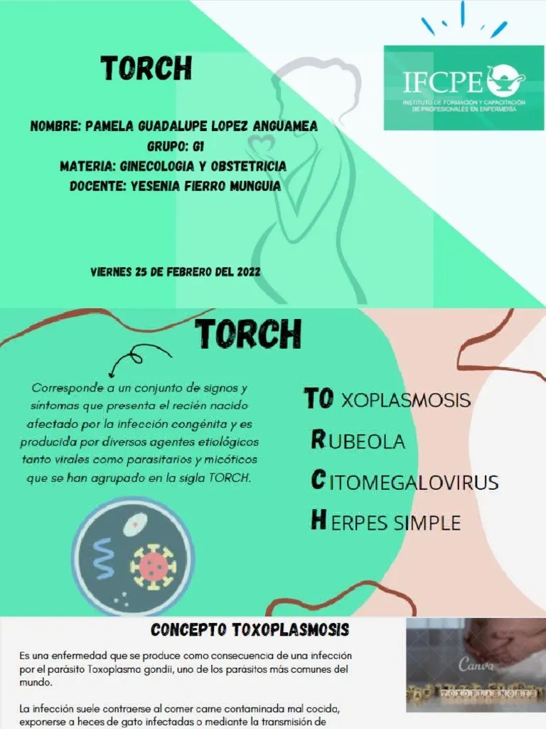 TORCH PDF