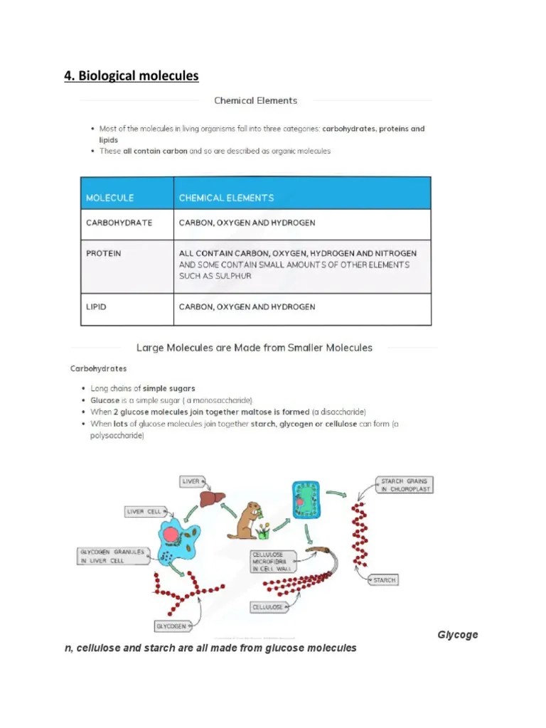 IGCSE BIOLOGY Biological MoleculesNotes PDF