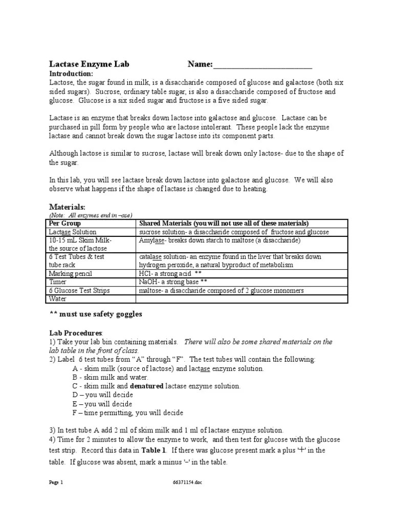 Lactase Enzyme Lab2 Glucose Sucrose