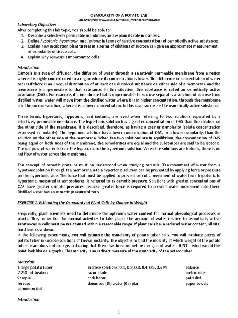 Osmolarity of A Potato Lab PDF Osmosis Physical Sciences