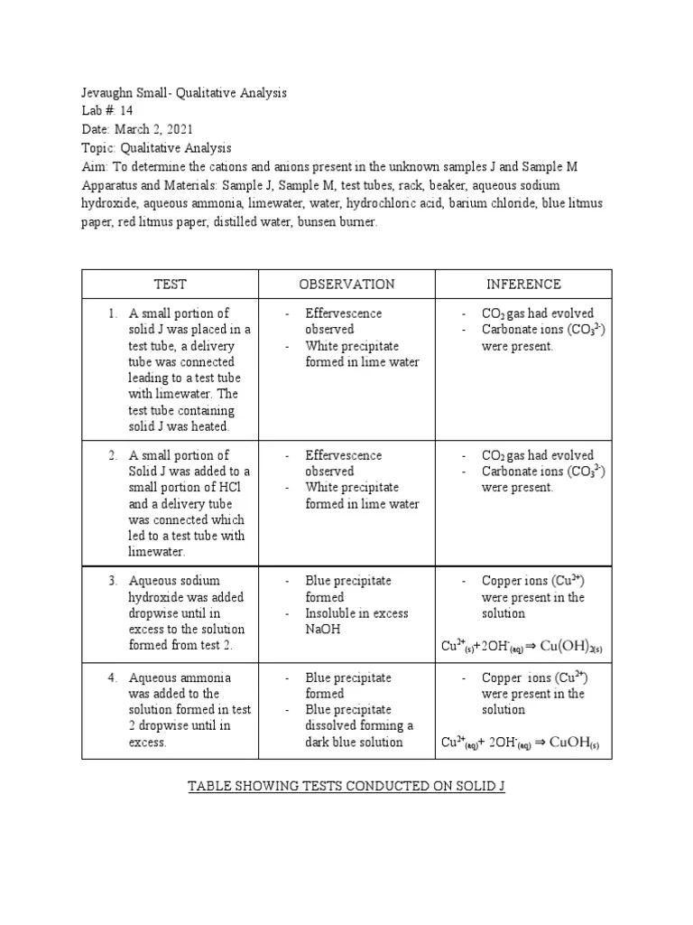 Qualitative Analysis Lab PDF