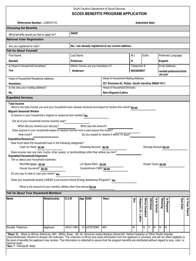 South Carolina SNAP and Voter Registration Application PDF Voter Registration Race And