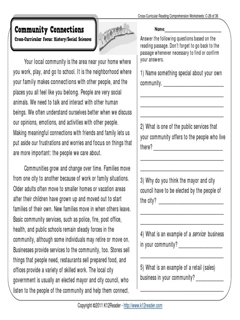 Community Connections PDF Community Psychological Concepts