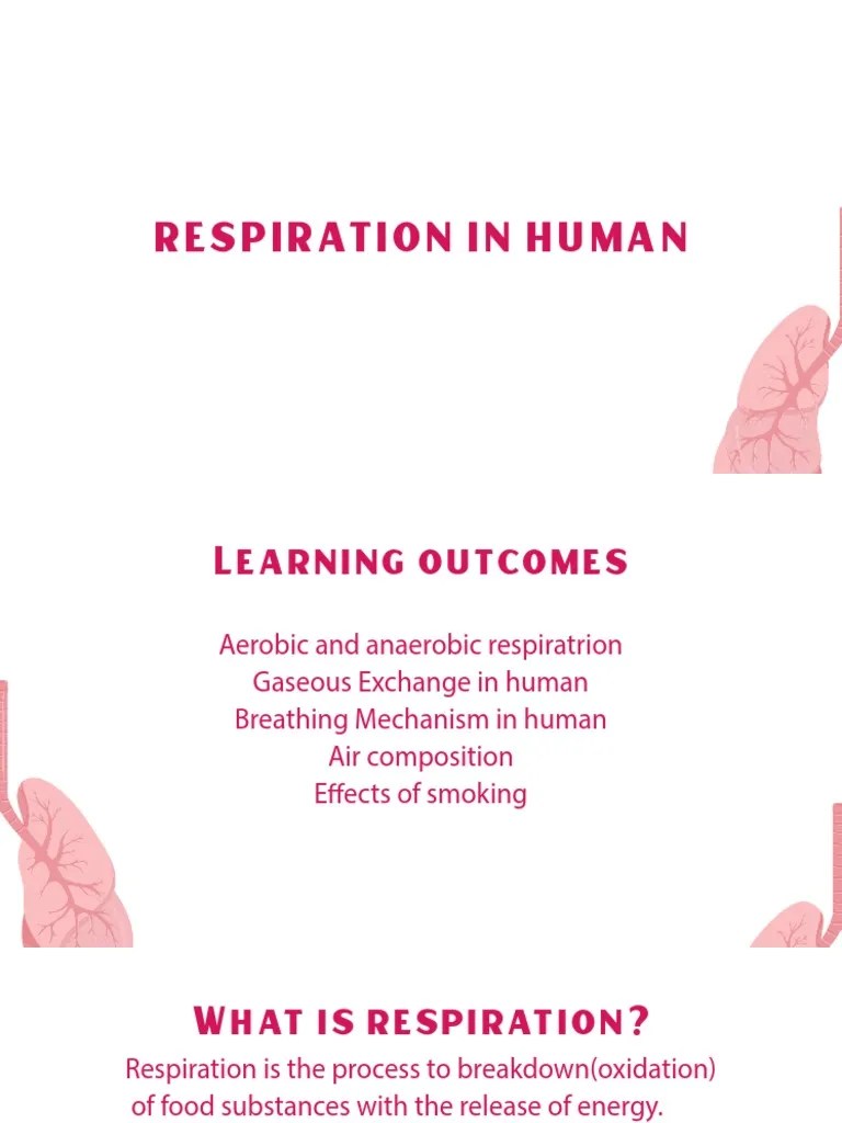 Gaseous Exchange Note PDF