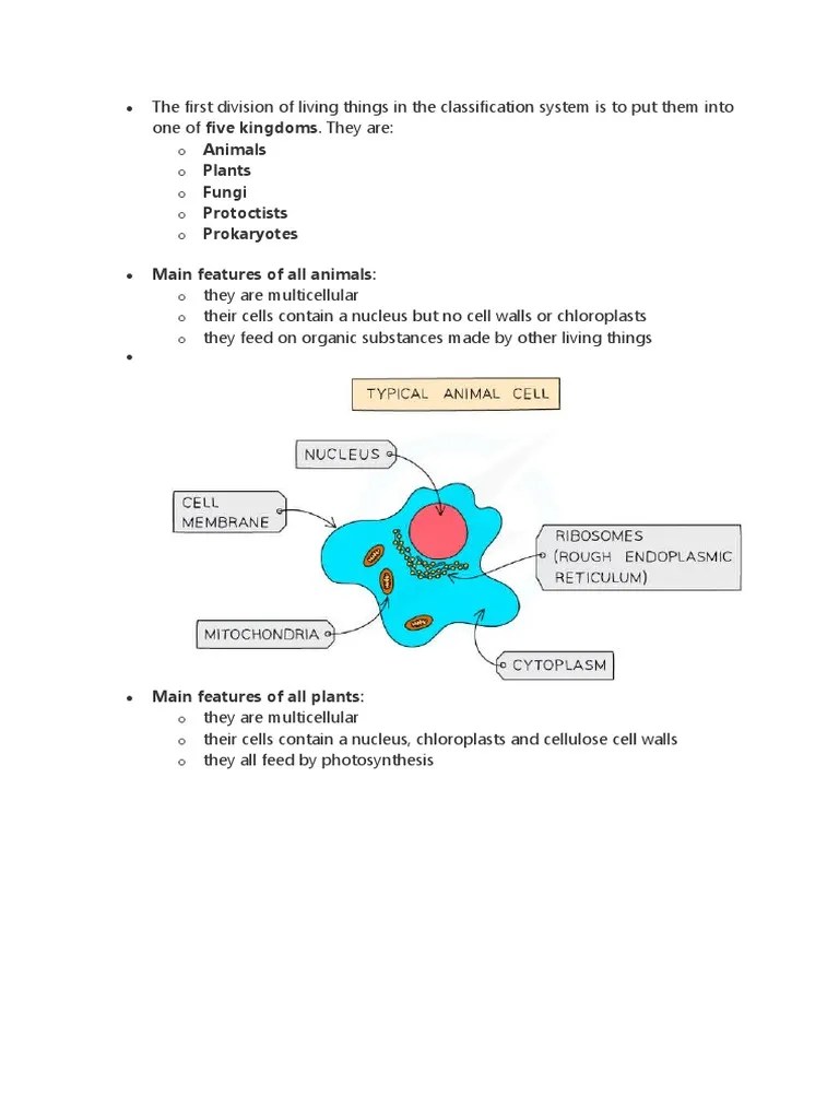 Classification Notes PDF