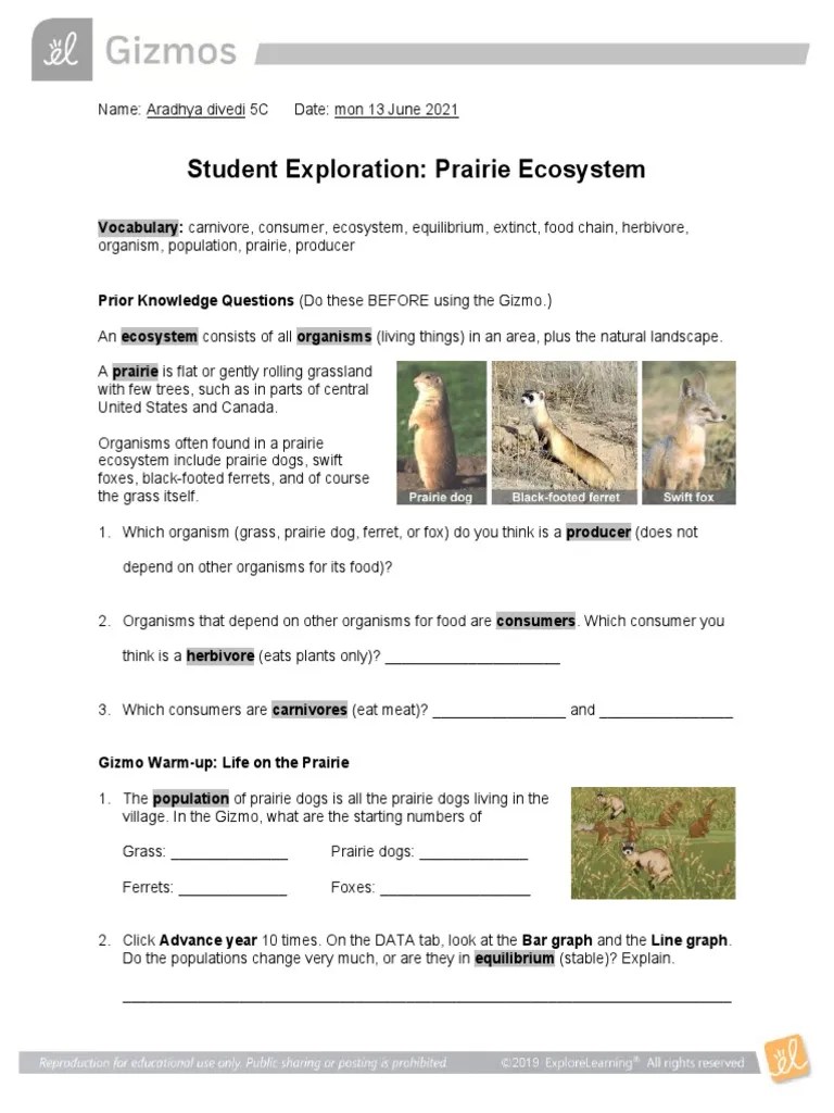 Student Exploration Prairie Ecosystem PDF Prairie Ecosystem